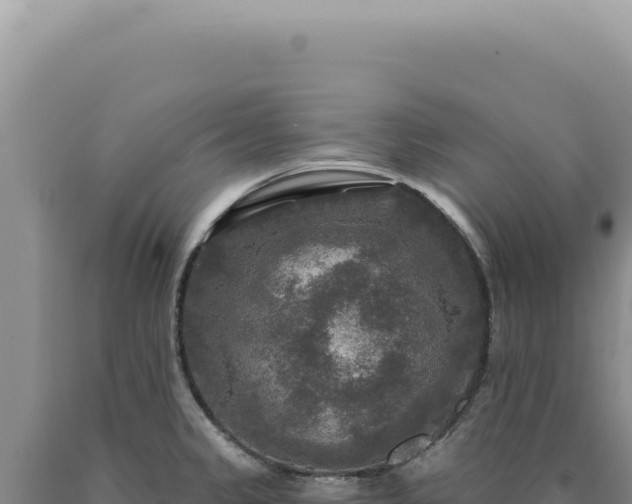 X0000090771333200707271519
