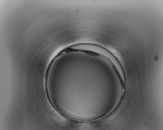 X0000090771334200707271519