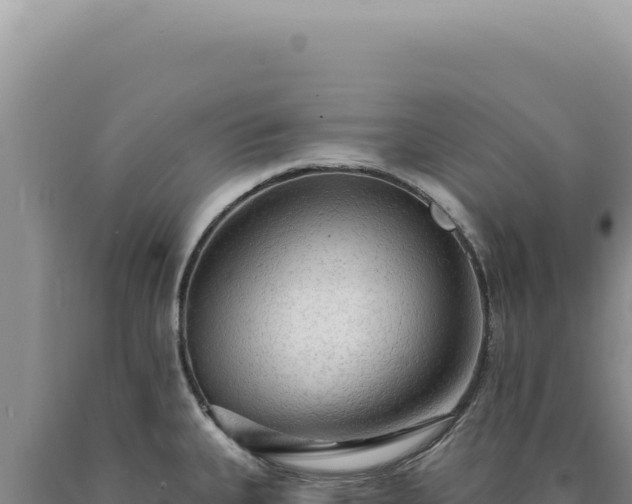 X0000090771335200707271519