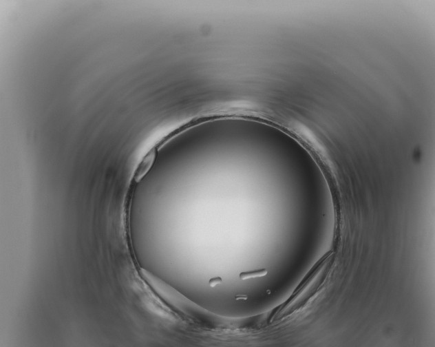 X0000090771336200707271519