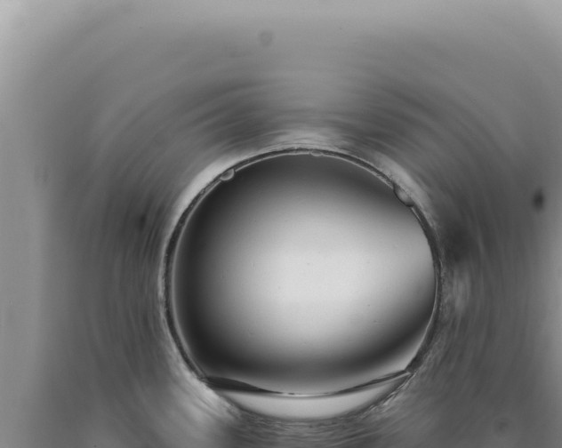 X0000090771339200707271519