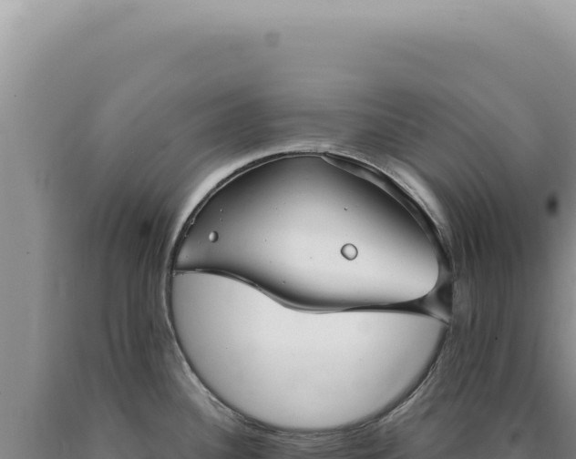 X0000090771340200707271519