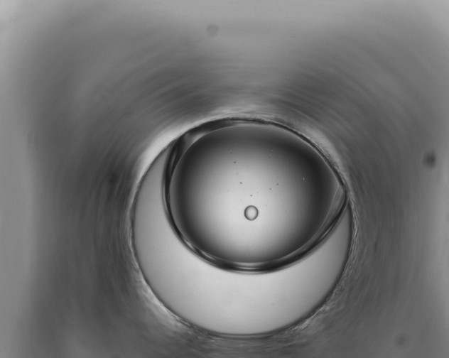 X0000090771344200707271519
