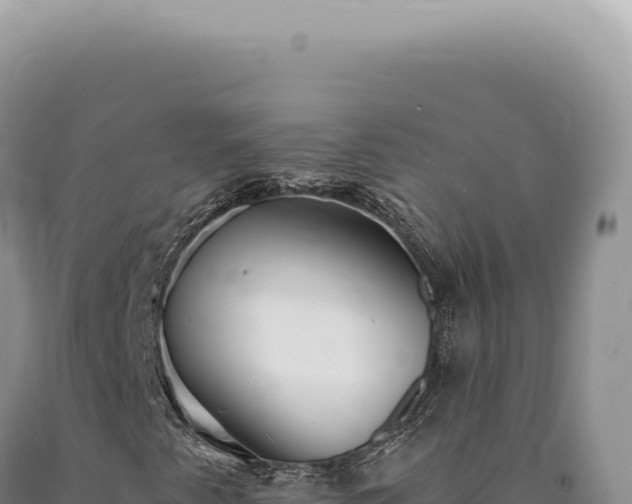 X0000090771345200707271518