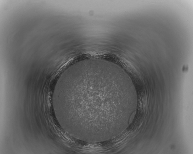 X0000090771346200707271518