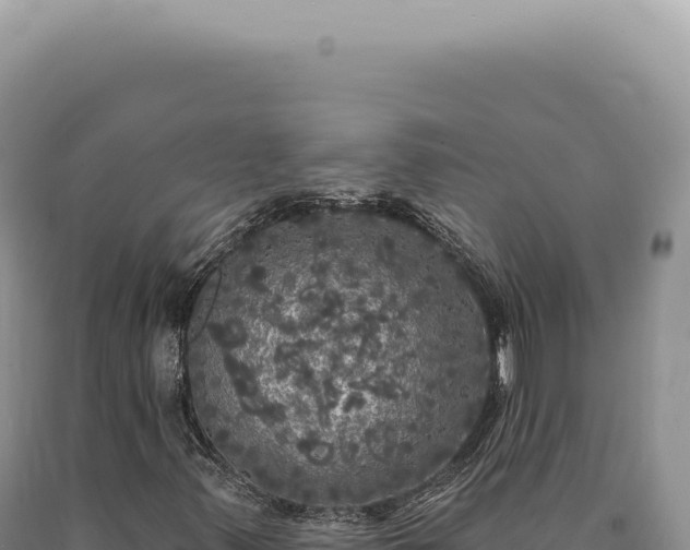 X0000090771347200707271518