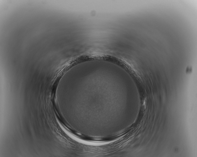 X0000090771348200707271518