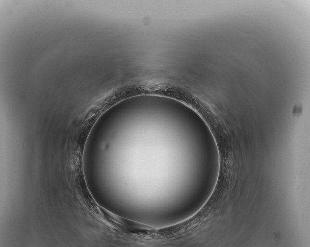 X0000090771349200707271518