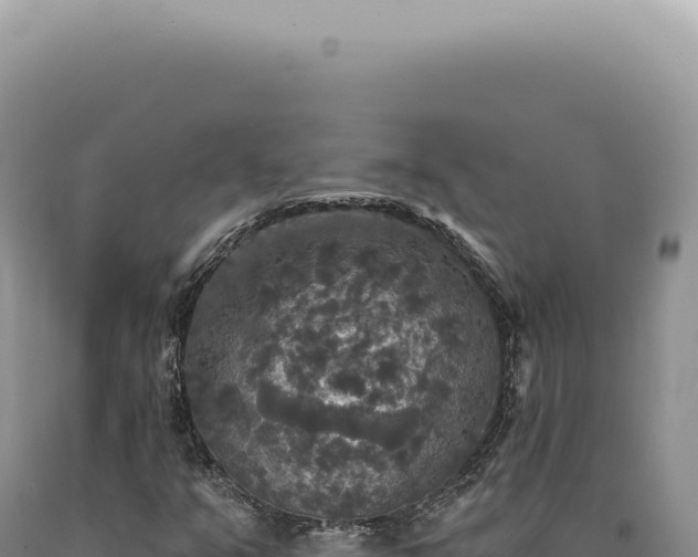 X0000090771351200707271518