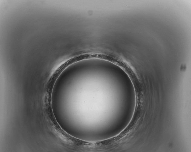 X0000090771352200707271518