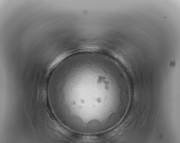 X0000090771354200707271518