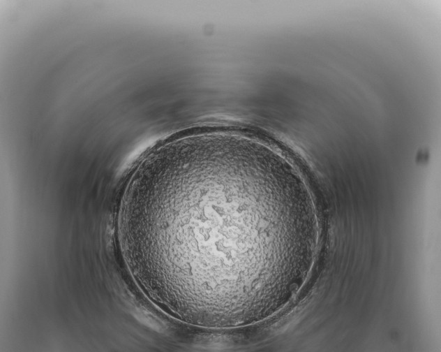 X0000090771355200707271518
