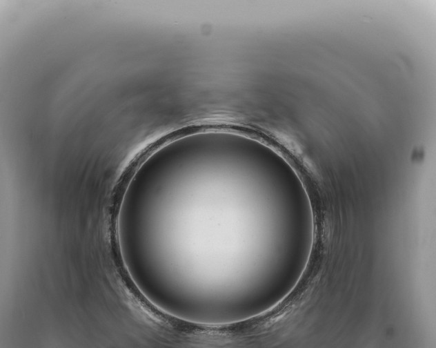 X0000090771356200707271518