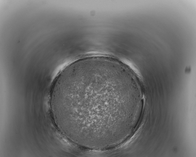 X0000090771357200707271518