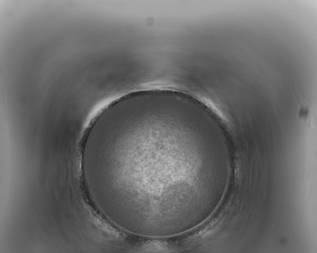 X0000090771358200707271518