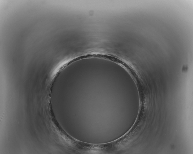 X0000090771359200707271518