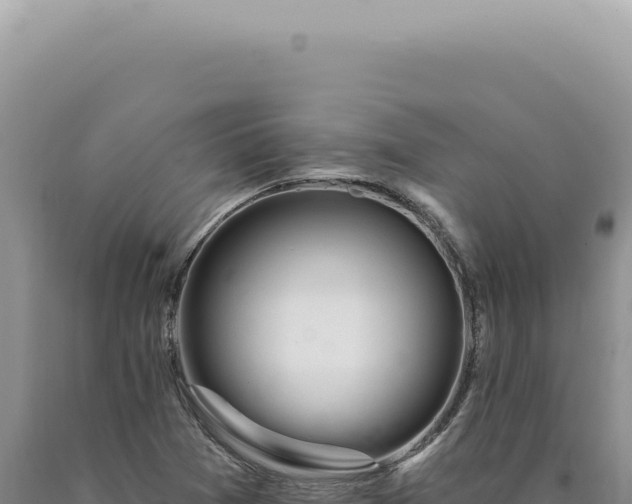 X0000090771361200707271518