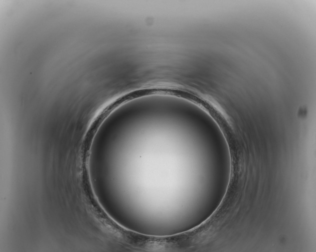 X0000090771364200707271518