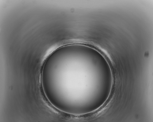 X0000090771365200707271518