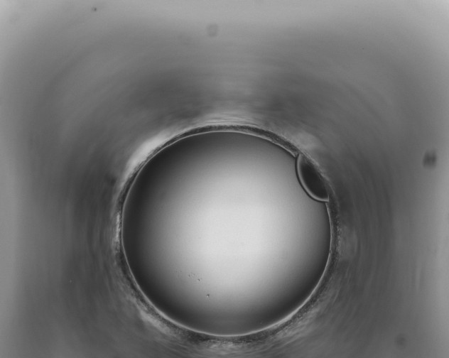 X0000090771366200707271518