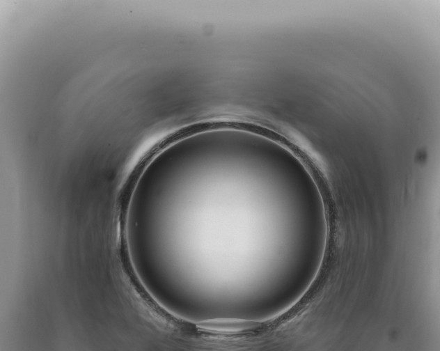 X0000090771368200707271518