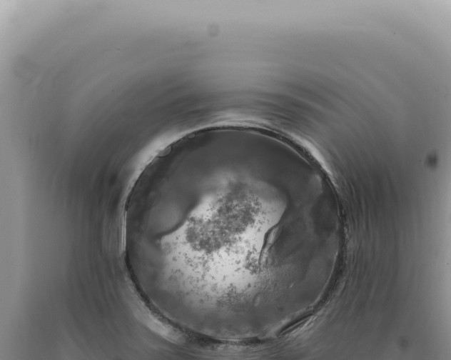 X0000090771371200707271518