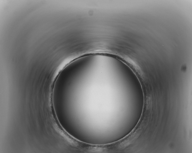 X0000090771374200707271518