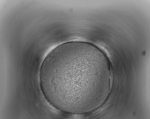 X0000090771375200707271518