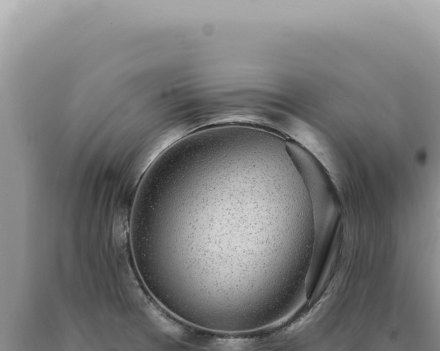 X0000090771377200707271518