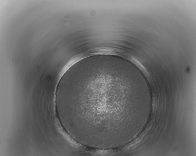 X0000090771378200707271518