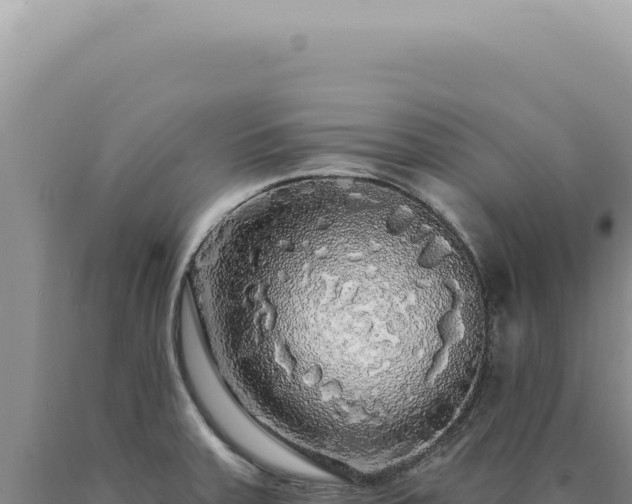X0000090771379200707271518