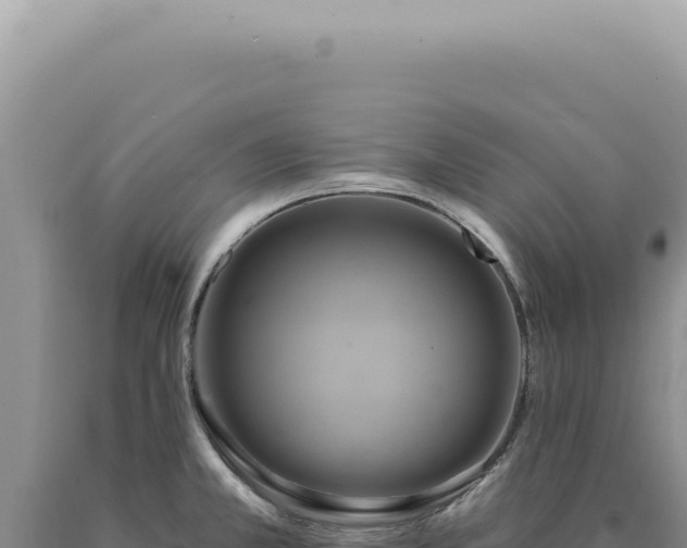 X0000090771381200707271518