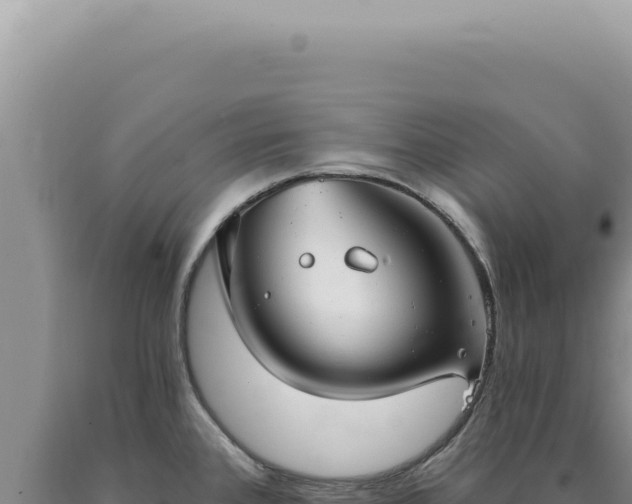 X0000090771384200707271518