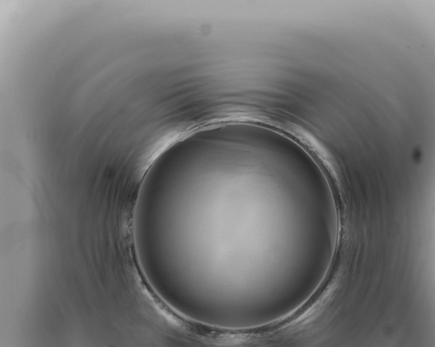 X0000090771385200707271518