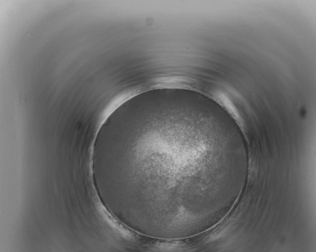 X0000090771386200707271518