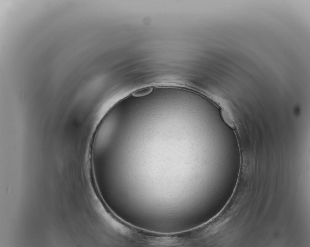 X0000090771387200707271518