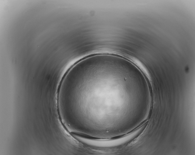 X0000090771388200707271518