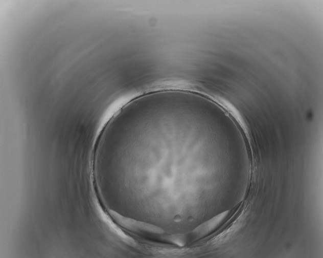 X0000090771389200707271518