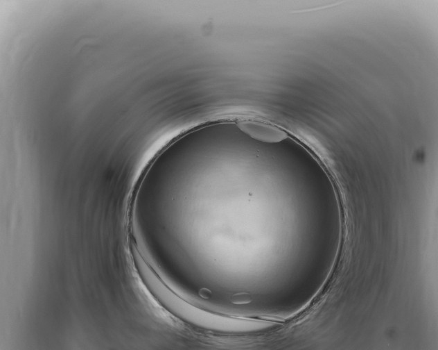 X0000090771392200707271518