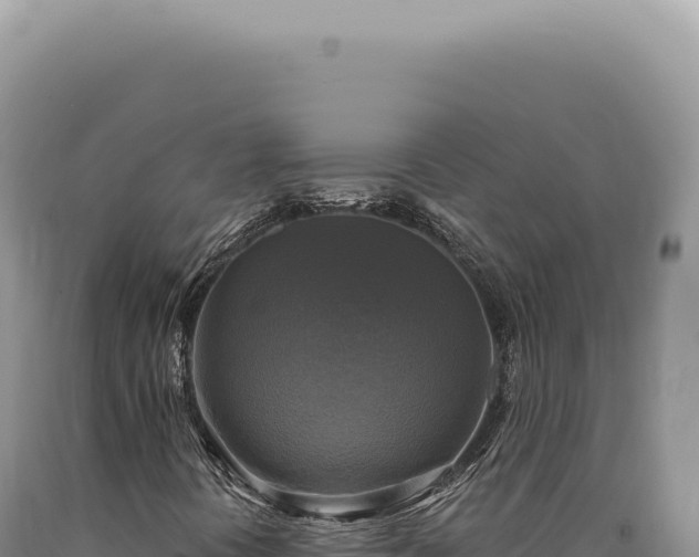 X0000090771394200707271517