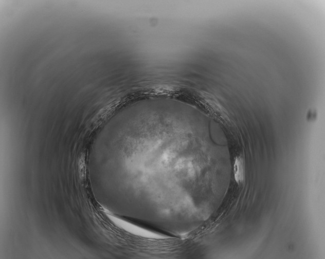 X0000090771395200707271517