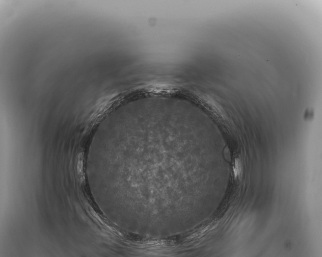 X0000090771396200707271517