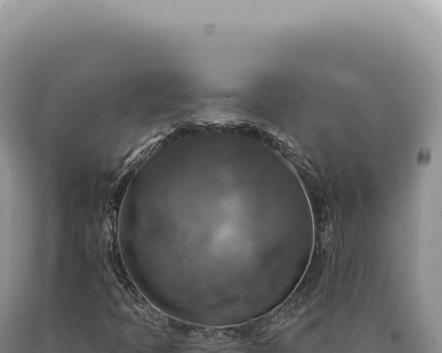 X0000090771397200707271517
