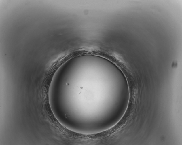 X0000090771398200707271517