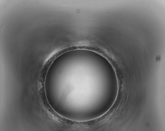 X0000090771400200707271517