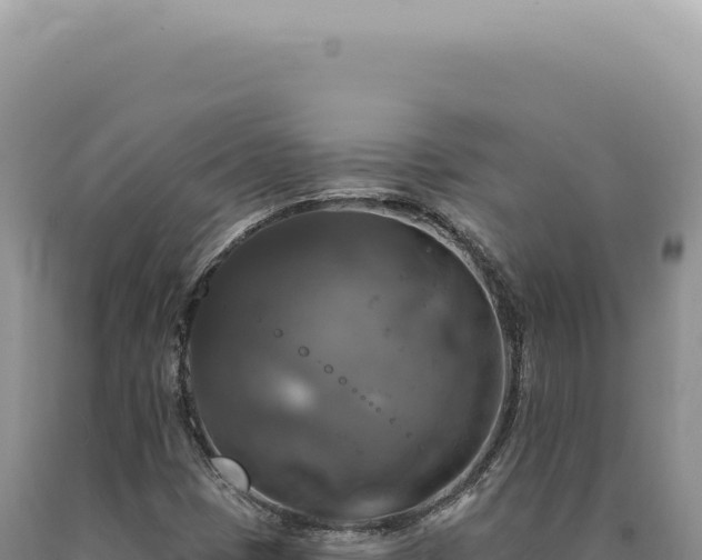 X0000090771401200707271517