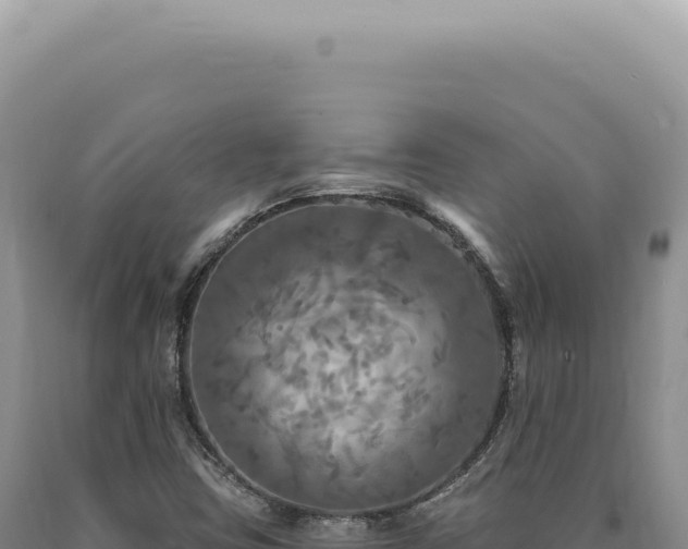 X0000090771403200707271517