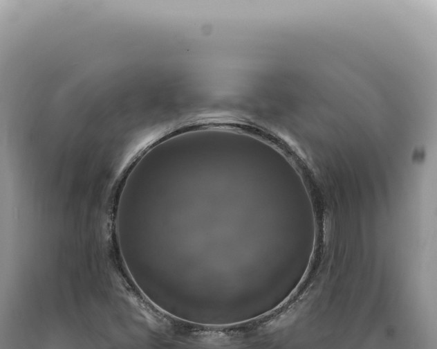 X0000090771405200707271517