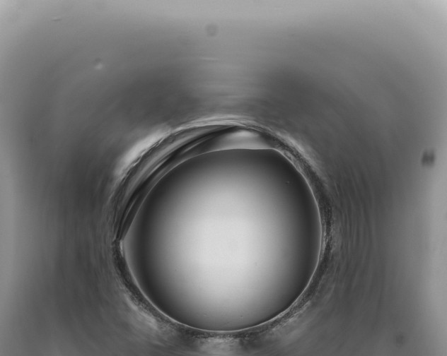 X0000090771406200707271517