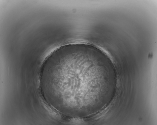 X0000090771407200707271517